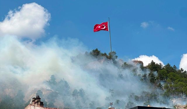 Kütahya Kalesi'nin bulunduğu bölgede yangın çıktı