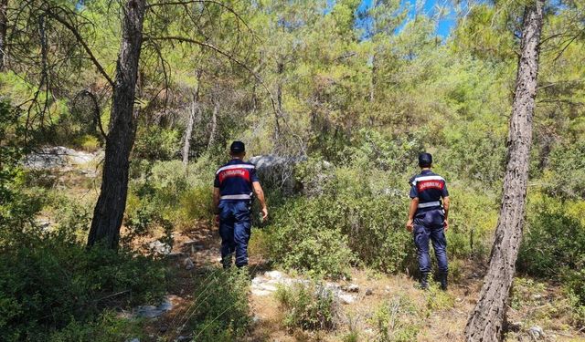 Yüzde 71'i ormanla kaplı olan Muğla'da yangınlara karşı sıkı tedbirler
