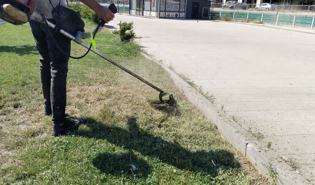 İhmal etme, temizle! Uşak’ta boş arsalardaki kuru otlar yangına davetiye çıkarıyor!