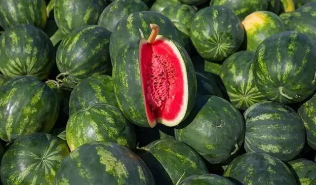 Yazın bunaltıcı sıcakların etkisini kırmak için nasıl beslenmek gerekiyor!