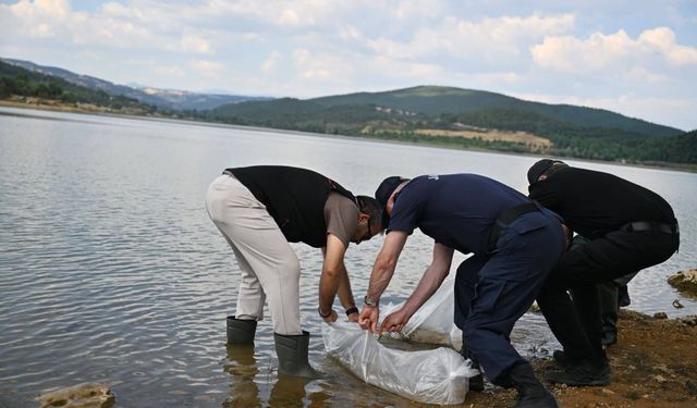 Uşak Göğem göletine binlerce yavru sazan balığı bırakıldı