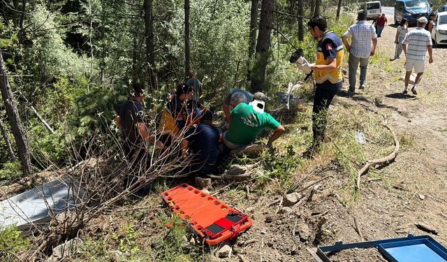 Kütahya'nın Domaniç ilçesinde kaza yapan traktörün sürücüsü yaralandı