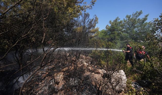 Uşak ve diğer illerdeki yangınlara 28 bin personel müdahale etti