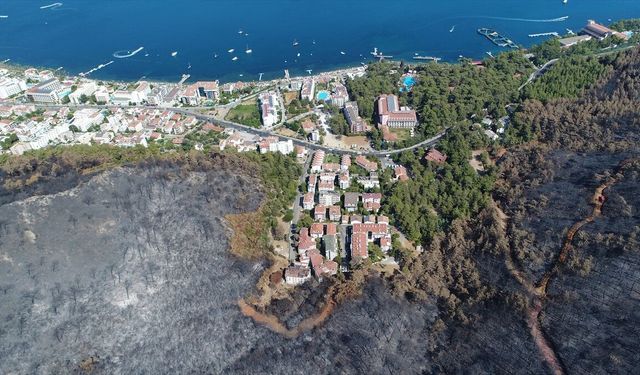 Muğla'da 4 yıl önce yanan ormanlar fidanlarla yeniden yeşerdi