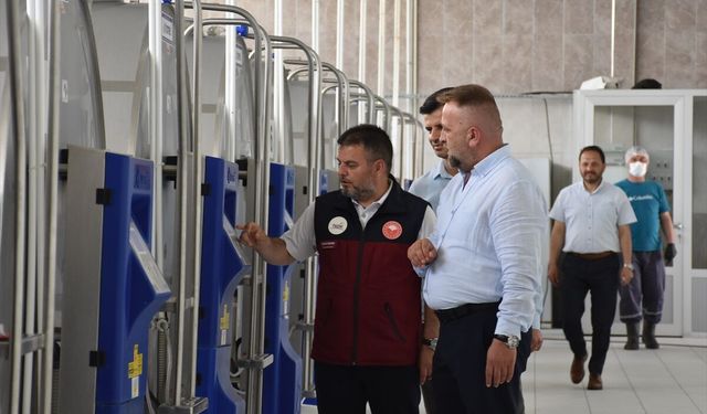Afyon Dazkırı'daki üretici TKDK desteğiyle 300 kilo olan süt üretimini 1,5 tona çıkardı