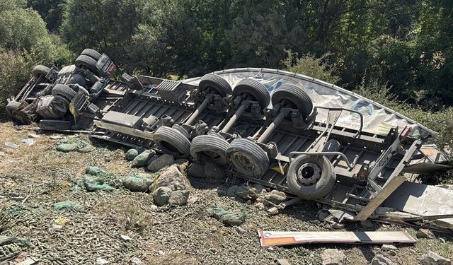 Kütahya ve Afyon arasında köpeklere çarpmamak için manevra yapan tır uçuruma devrildi