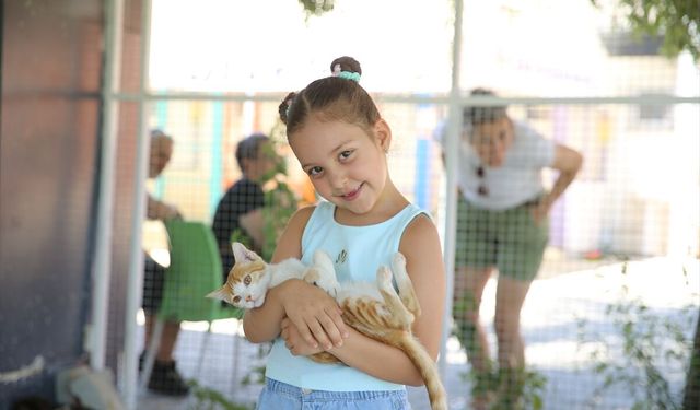 Denizli Pamukkale'de yılın ilk 6 ayında 16 bin hayvan rehabilite edildi