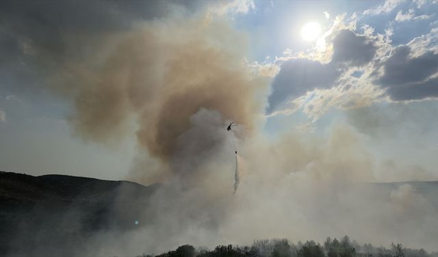 Kula Seyitler Mahallesi'nde orman yangını