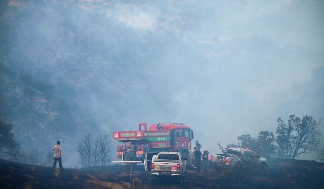 Uşak Eşme Kayalı köyünde orman yangını çıktı