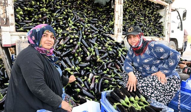 Afet mağduru çiftçiye can suyu verildi