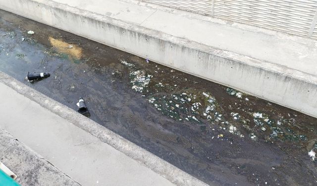 Uşak'ın ortasından geçen Dokuzsele'deki müsilaj nedeniyle koku problemi yaşanıyor