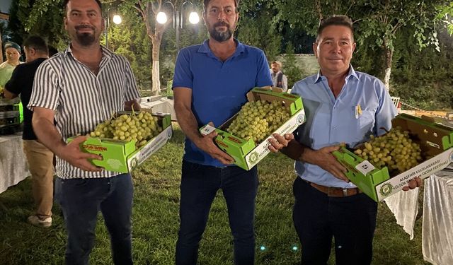 Alaşehir'de kelter çekme ve üzüm yarışmasında Uğur Özcan, Mustafa Tamkan ve Mehmet Özcan dereceye girdi