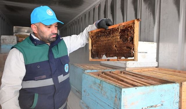 Gölmarmara Hıroğlu’ndaki arıcıların kayıpları en aza indirgendi