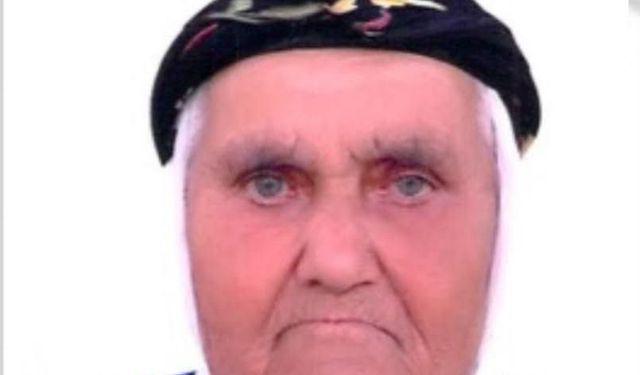 Uşak Banaz Ahat'ta kaybolan Fadime Tosun'un bulunması için yoğun çalışma