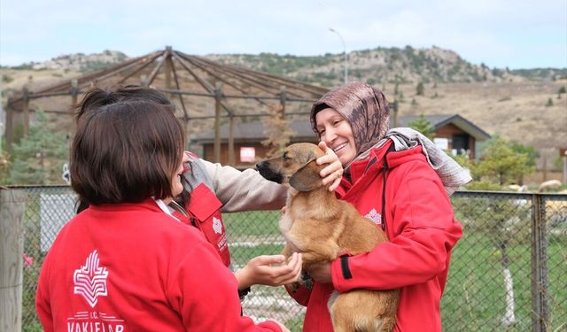 Kütahya Vakıflar Bölge Müdürlüğü'nden sahipsiz hayvanlara mama desteği