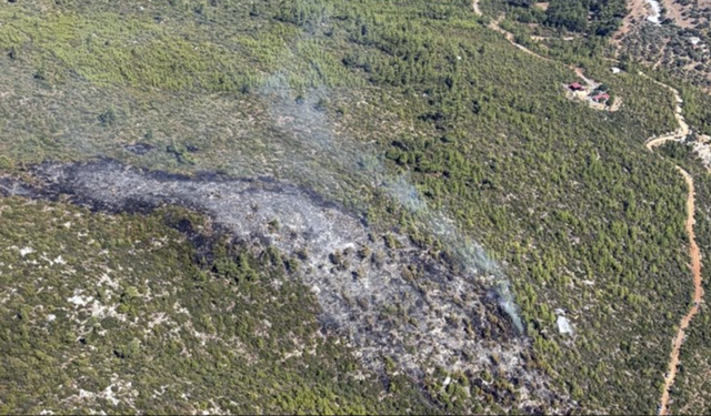 Bodrum Çocuk Mezarı mevkisindeki orman yangını kontrol altına alındı
