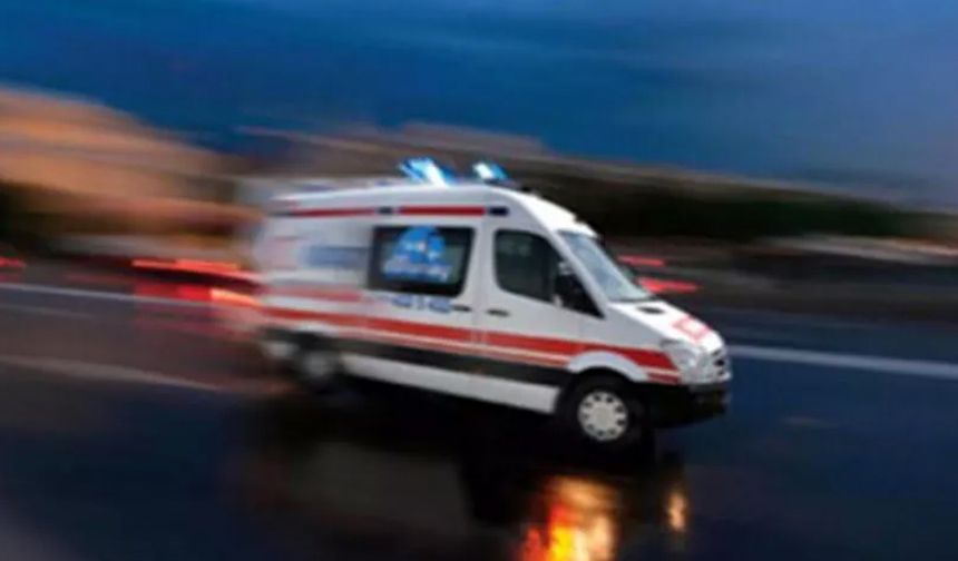 Denizli'de tomruk altında kalan sürücü hayatını kaybetti