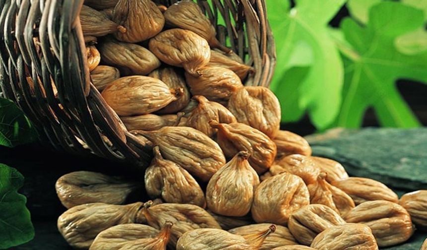Kuru incir ihracatı 369 milyon 759 bin dolara ulaştı