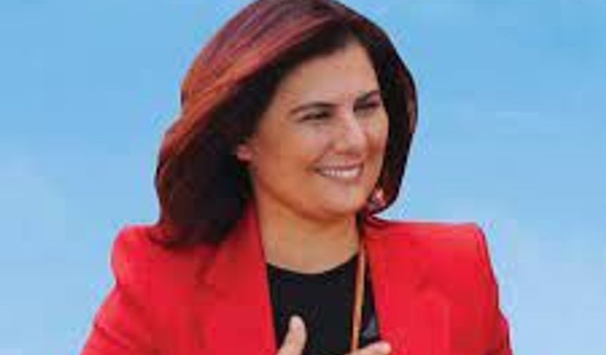 Özlem Çerçioğlu Kimdir?
