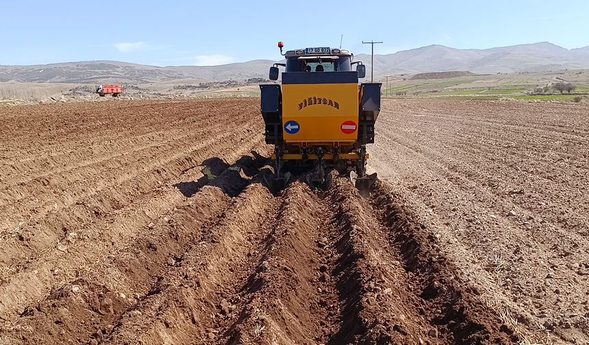 Afyonkarahisar'da patates ekimi başladı