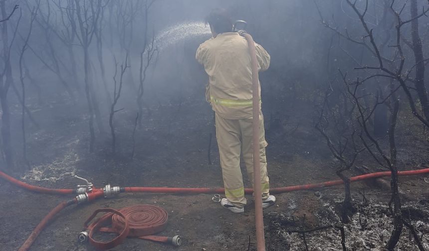 İzmir'in 2 farklı bölgesinde çıkan orman yangını kontrol altına alındı