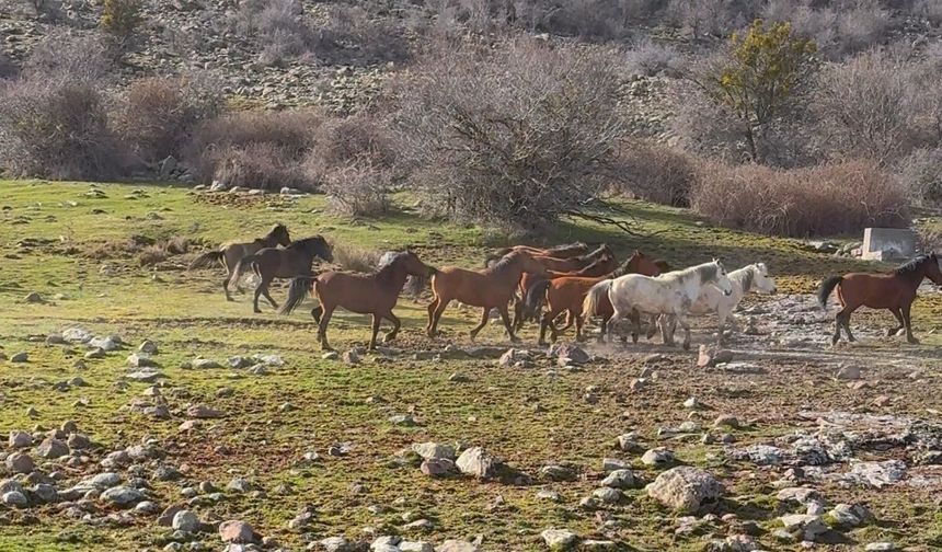 Uşak'ın su kaynağı Murat dağı için mücadeleye destek vermeye devam edeceğini duyurdu