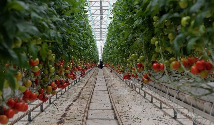 Uşak'ta hayata geçecek dev yatırım, 2100'ü kadın toplam 3000 kişiye iş imkanı sağlayacak