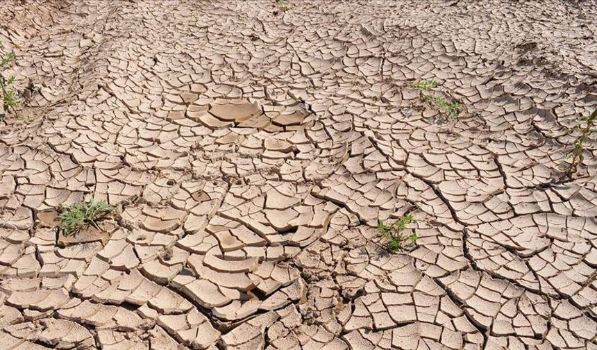 Türkiye son 35 yılın en kurak martını yaşadı