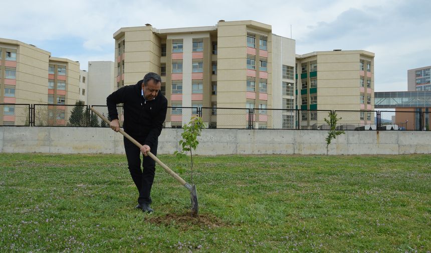 Uşak Eğitim ve Araştırma Hastanesi'nde hemşireler günü için fidan dikildi