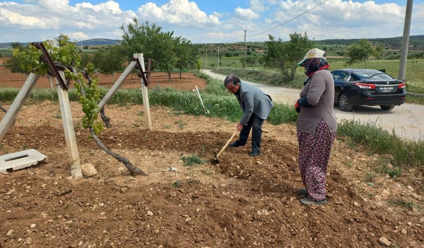 Karahallı'da alın teriyle çalışan çiftçileri ziyaret etti