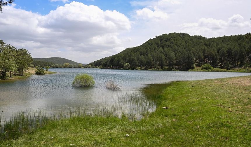 Uşak'ta tatillerde eşsiz bir doğa deneyimi için 7,3 kilometrelik Baltalı Göleti yürüyüş parkuru