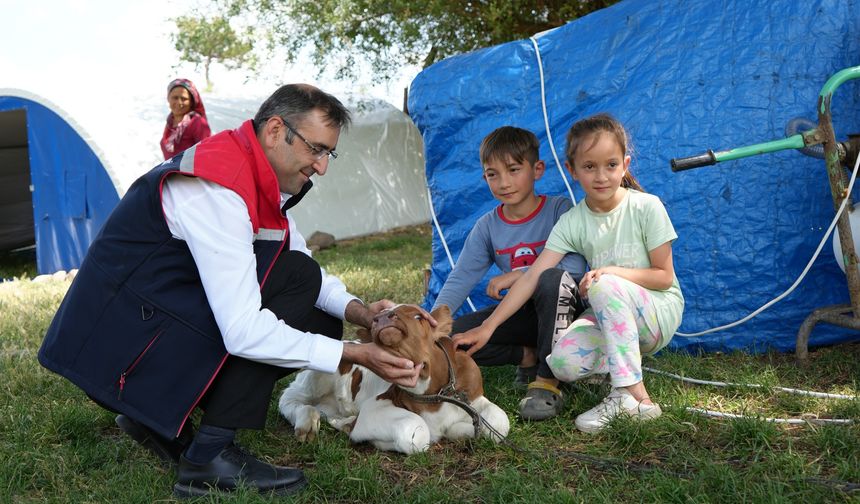 Uşak'ta yaylalarda hayvancılık yapan üreticilerin yaşamı artık daha konforlu