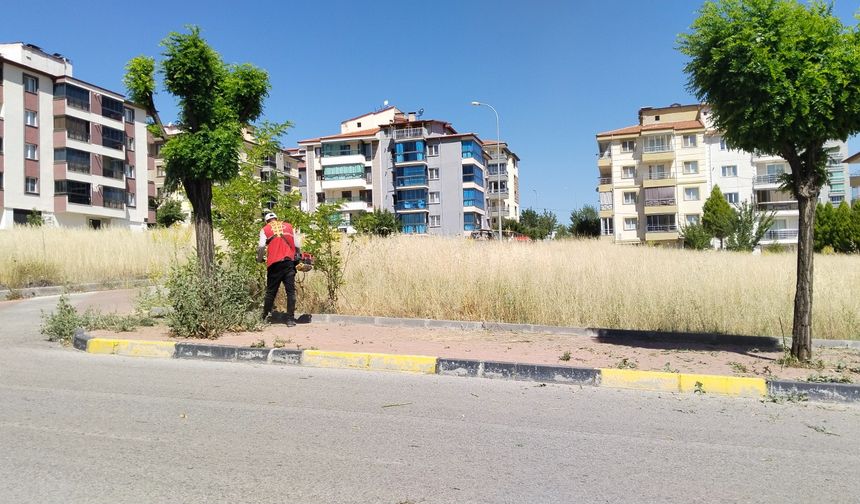 Nihayet bu da oldu! Uşak Belediyesi, vatandaşa büyük eziyet olan kaldırımdaki otları temizlemeye başladı!