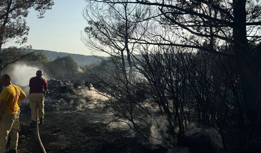 İzmir'de mangal yapmak istedi, orman yaktı!