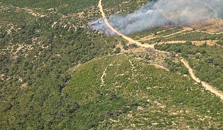 İzmir Foça'da çıkan orman yangına müdahale ediliyor