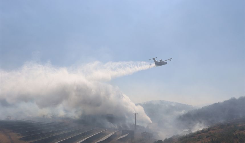 Uşak'ın komşusu Kula'daki orman yangını kontrol altına alındı