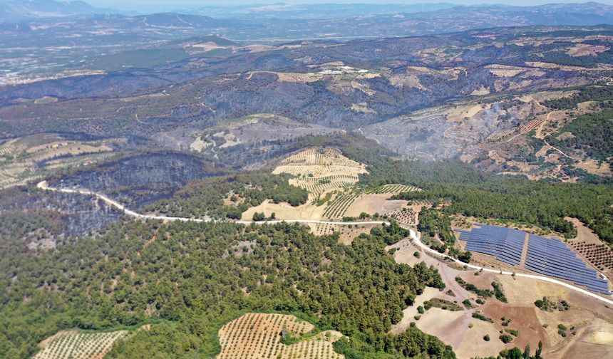 Manisa'nın Akhisar'daki orman yangınına müdahale 3. gününde sürüyor