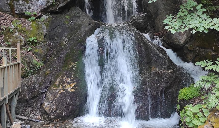Murat Dağı, Kışladağ olmasın diye Uşak, Gediz ve çevre illerden Karaağaç köyüne gittiler