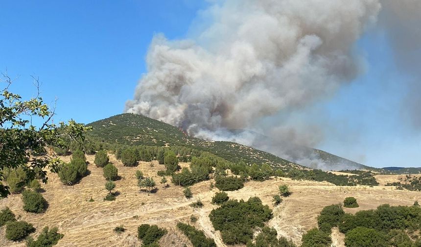 Banaz'daki ve Manisa'da başlayıp Eşme'ye yayılan yangına havadan ve karadan müdahale ediliyor
