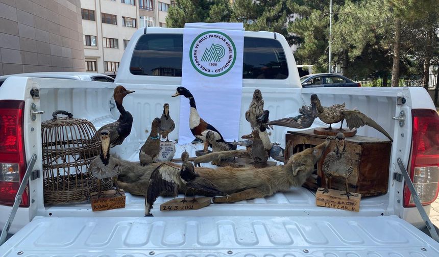 Afyonkarahisar'da hayvan tahniti bulunduran kişiye para cezası !