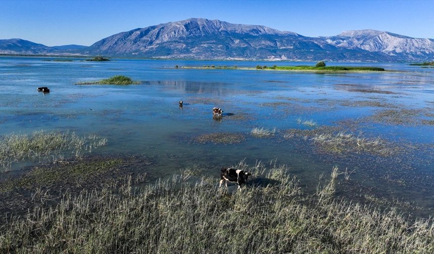 Uşak'ın komşusu Çivril'de belediyeye 7 memur alınacak!
