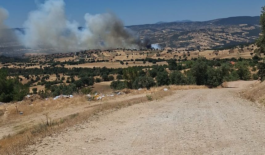 Gediz Yenikent Hamzabey mahallesinde yangın! Dumanlar Uşak'ı dahi kapladı!