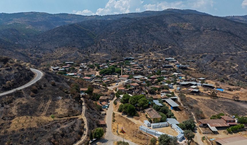 İzmir'deki orman yangınlarının yaraları sarılmaya çalışılıyor