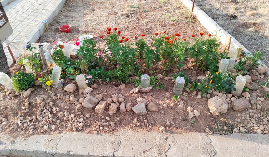 Uşak'ta duyarlı vatandaşlar, mezarlıklarda damla sulamayla tasarruf ediyor!