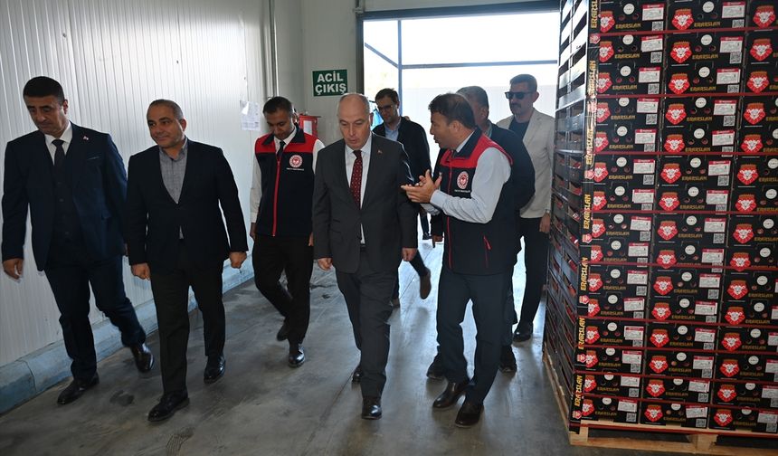 Denizli'nin narı kalitede İsrail narını geçti!