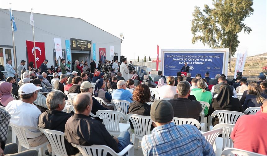 İzmir'de besicilere hibe olarak 210 küçükbaş dağıtıldı