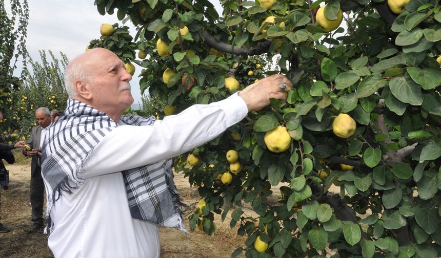 TZOB Genel Başkanı Bayraktar, İzmir'de incelemelerde bulundu
