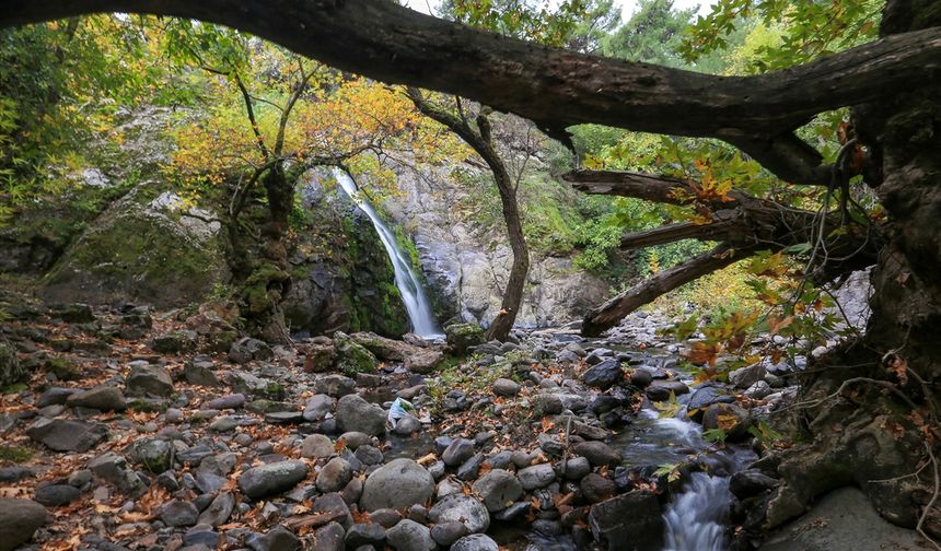 Yunt Dağı'nda sonbahar güzelliği