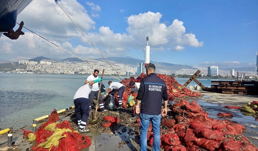 İzmir'de midyeye de kaçak karıştı! 27 ton midye ele geçirildi!