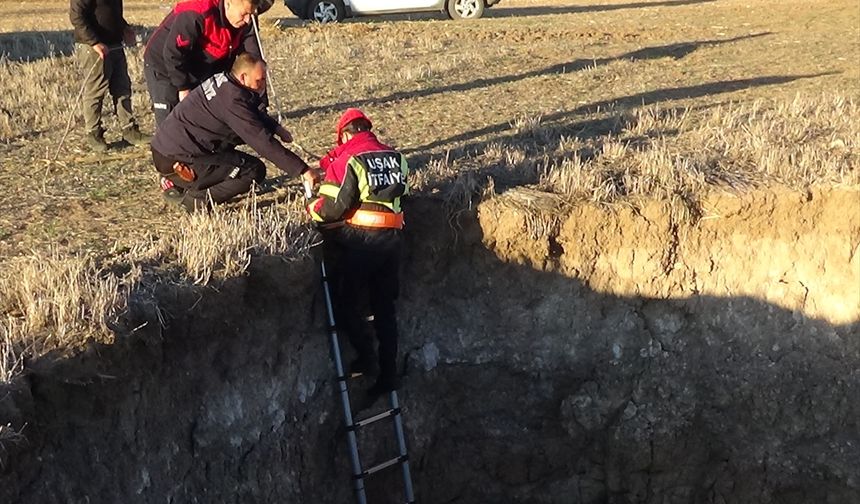 Koyunbeyli'de kuyuya düşen keçi kurtarıldı